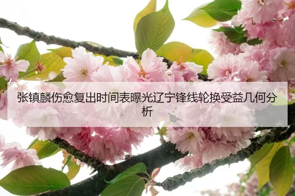 张镇麟伤愈复出时间表曝光辽宁锋线轮换受益几何分析