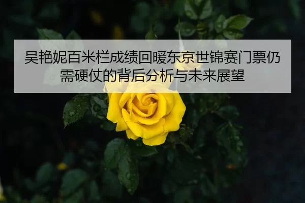 吴艳妮百米栏成绩回暖东京世锦赛门票仍需硬仗的背后分析与未来展望