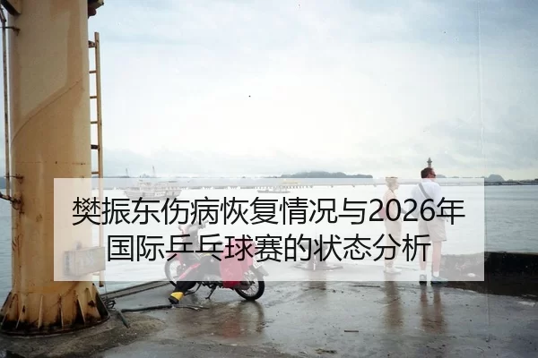 樊振东伤病恢复情况与2026年国际乒乓球赛的状态分析 | Huatihui FIFA WORLDCUP