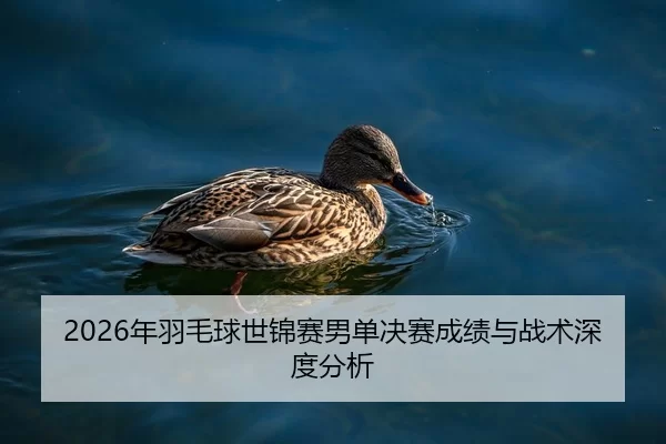 2026年羽毛球世锦赛男单决赛成绩与战术深度分析 | Huatihui FIFA WORLDCUP