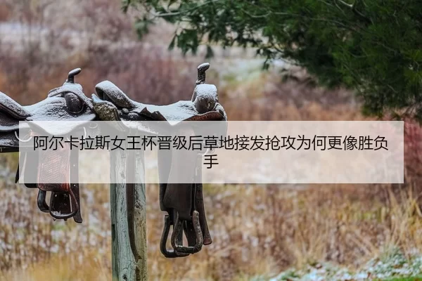 a-er-ka-la-si-nv-wang-bei-jin-ji-hou-cao-di-jie-fa-qiang-gong-wei-he-geng-xiang-sheng-fu-shou-2-494.jpg