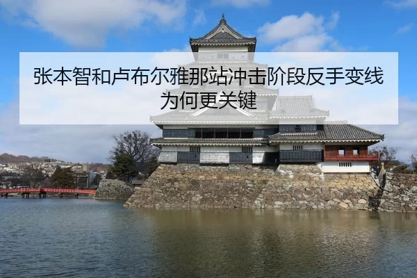 张本智和卢布尔雅那站冲击阶段反手变线为何更关键 | Huatihui FIFA WORLDCUP