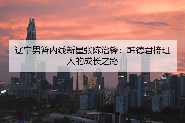 辽宁男篮内线新星张陈治锋：韩德君接班人的成长之路