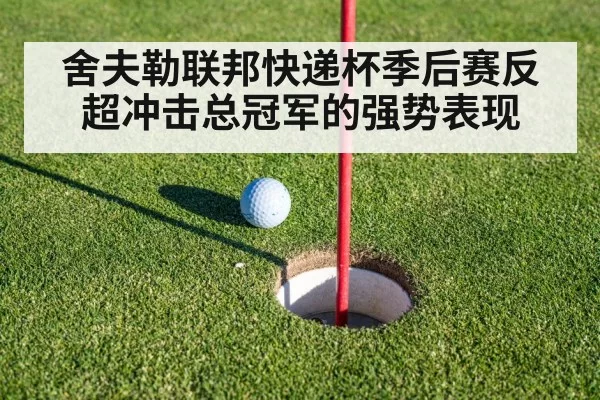 舍夫勒联邦快递杯季后赛反超冲击总冠军的强势表现